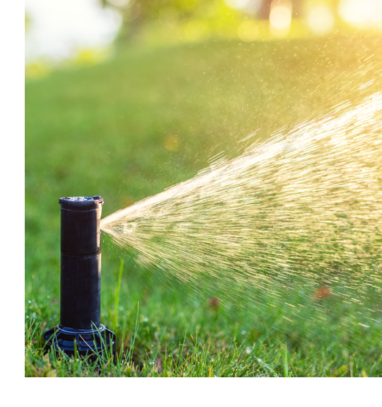 Blue Star Irrigation - Serving Lake City, Live Oak & Gainesville Florida